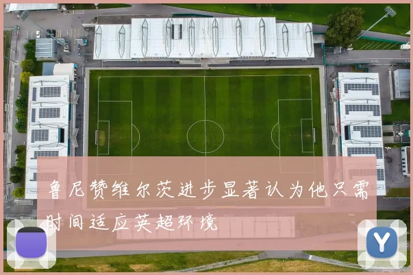 鲁尼赞维尔茨进步显著认为他只需时间适应英超环境